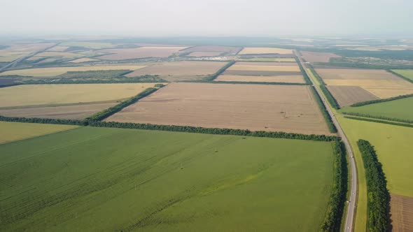 Agricultural Fields From a Bird'seye View