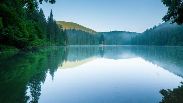 Beautiful Nature and a Wonderful Landscape with Lush Green Forests and Vegetation Around the Pearl