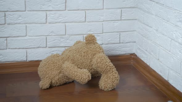 Abandoned teddy bear. alt