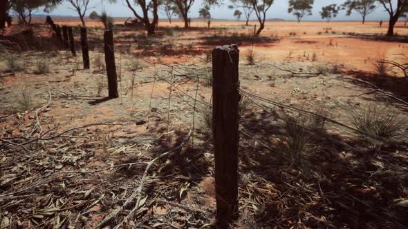 Pampas with Barbed Wire Fence and Dry Bushes alt