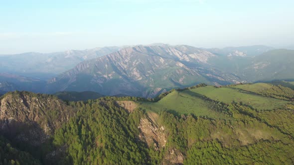 Mountain Forest Drone