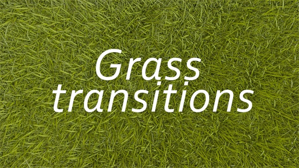 17 Grass Transtions