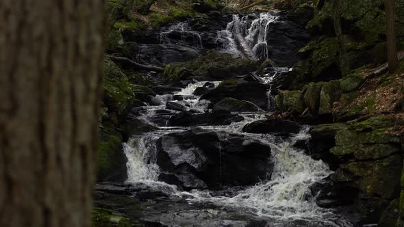 Static Shot With Tree In Foregorund Showing Beautiful Cascading Waters In Summer