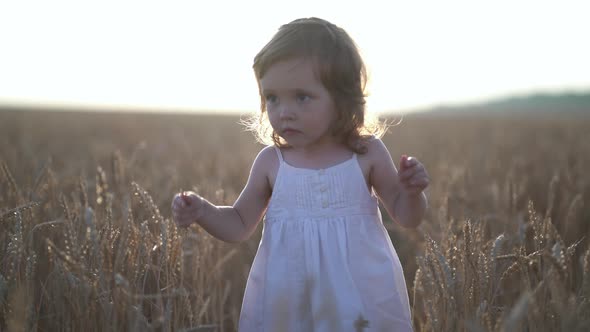 Portrait of Little Girl in a White Dress in Field