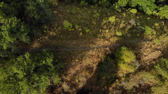 Aerial Drone Shot of Woman with Dog at Forest in the Mountains in Kazakhstan alt