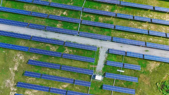 Modern solar station with blue panels standing in field with green grass under a bright sunlight. alt
