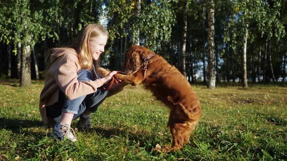 Fair Haired Girl Smiles and Plays with Russian Spaniel Dog alt