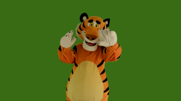 Man in Tiger Costume Dances on Green Screen Chromakey 422 10 Bit alt