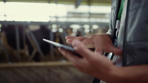 Closeup Farmer Hands Using Tablet Computer in Modern Dairy Farm Facility Cowshed alt