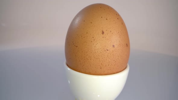 Rotating chicken egg