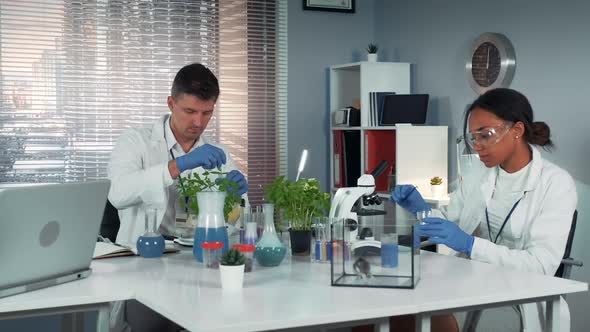 In Modern Laboratory Scientist Helping His Colleague to Conduct the Experiment By Preparing alt
