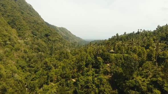 Rainforest Cloud BaliIndonesia alt