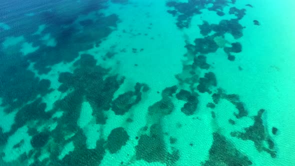Seaweed and Coral Reef on a Clear Tropical Shallow Sea Floor With White Sand