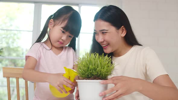 Asian family mom and daughter watering plant in gardening near window at house. alt