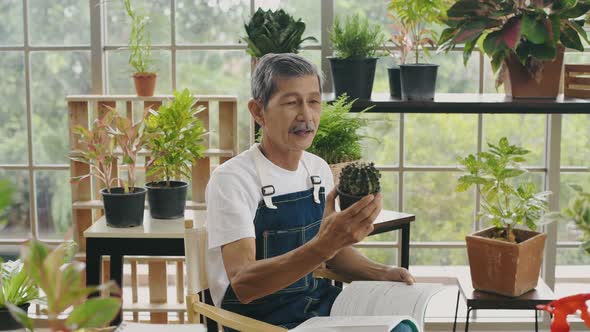 Agriculture concept of 4k Resolution. alt