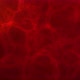DNA &amp; Blood Cell, 4k Red Background - VideoHive Item for Sale