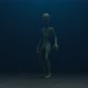 Alien in the Fog - VideoHive Item for Sale