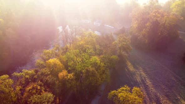 Aerial Flying Over Trees with Yellow Leaves Lake and Architecture on an Autumn alt