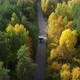 One Semi Truck Without Trailer Traveling Alone on Dense Flat Forest Asphalt Straight Empty Road - VideoHive Item for Sale