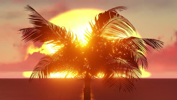 Palm Tree on Small Island alt