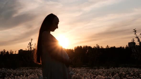 A Young Pregnant Woman Sits in a Flower Field at Sunset