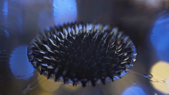 Ferrofluid. Beautiful Colors and Fantastic Shapes. Close-up