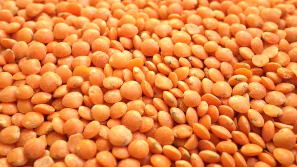 Rotating Lentils Food Leguminous Culture