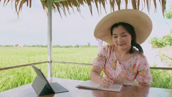 Business freelance young woman working with her digital tablet outdoor with the background rice plan alt
