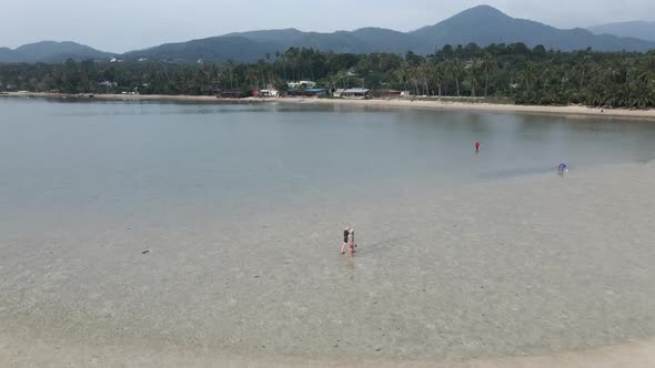 Thai Locals Gathering Clams During Low Tide In Tropical Beach Of Koh Phangan Thailand alt