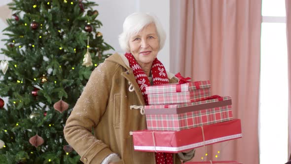 Elderly Woman with Christmas Presents Posing for Camera alt