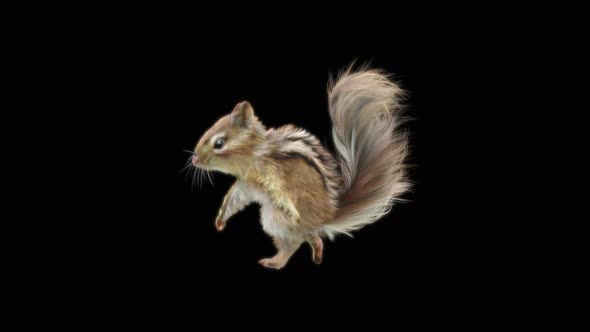 66 Chipmunk Dancing 4K alt