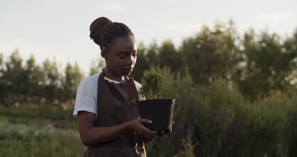 Black Gardener Checking Quality of Potted Plant alt