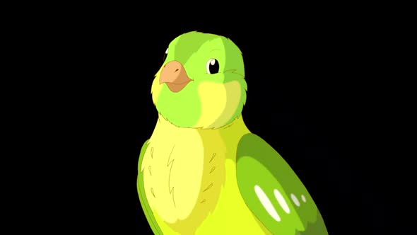 Singing Green canary close-up alpha matte HD