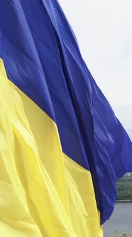 Vertical Video National Flag of Ukraine By Day alt