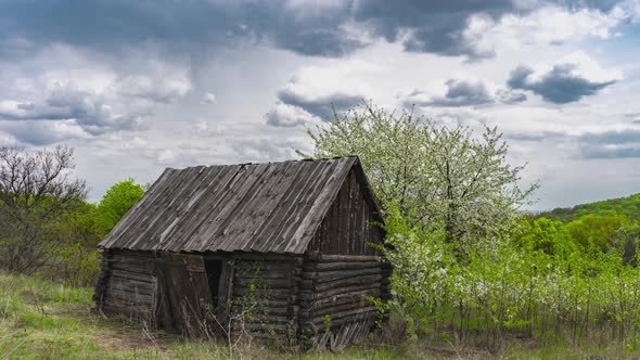 Old Wooden Abandoned House in the Forest in Cloudy Weather