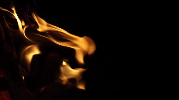 Fire Flames on a Black Background alt