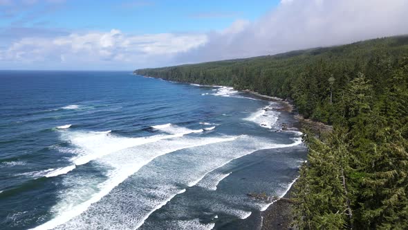Still aerial shot of big waves crashing on the shore of Sombrio beach with vast and endless pine for alt