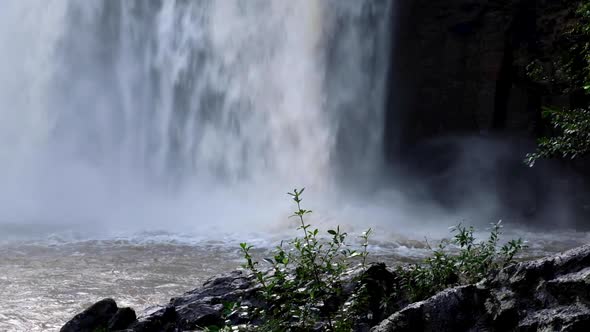A closeup of Whangarei Falls raging after a lot of rain throughout Northland, New Zealand Aotearoa alt