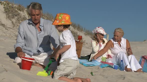 LS OF GRANDPARENTS ON THE BEACH WITH THEIR GRANDCHILDREN alt