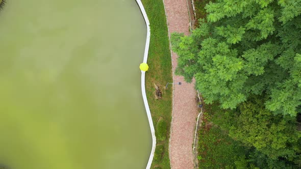 Aerial top down view, woman with yellow umbrella walks near a lake alt