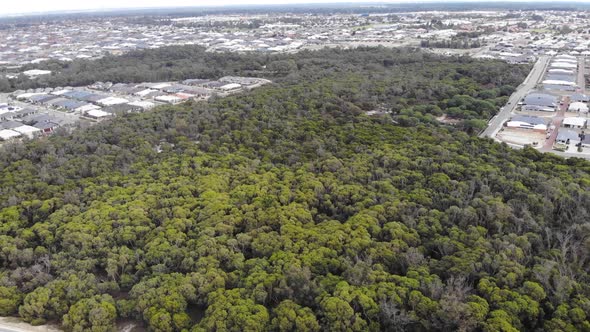 Aerial View of a Small Forest near Suburb in Australia