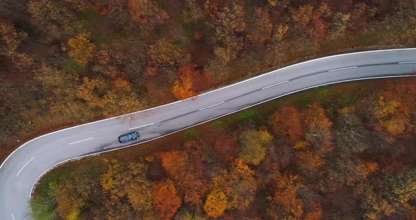 Aerial View Car on Country Road Through Forest 4K