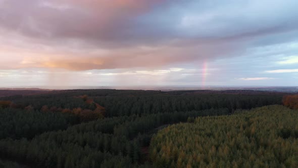 Woodland at sunset with storm clouds, rain and rainbow in the distance backgr