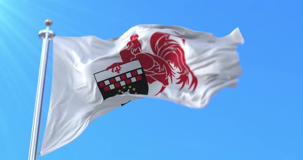 Charleroi City Flag, Belgium alt