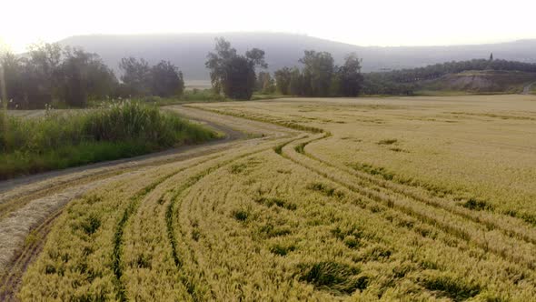 Landscape From Aerial of the Northern Israel  alt