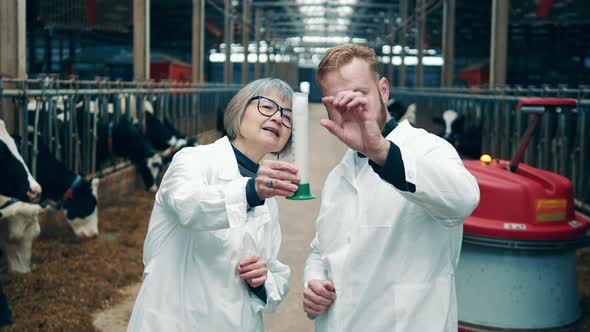Two Farm Experts are Observing a Tube with Raw Milk alt