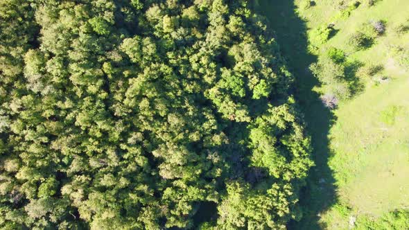 Hills Aerial View alt