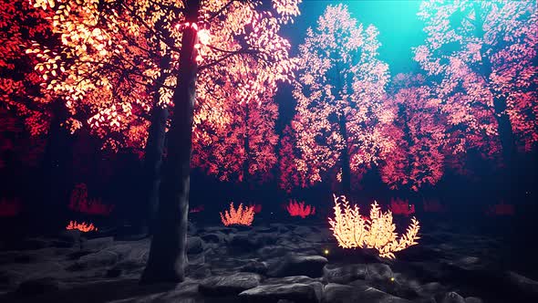 Glow Light Forest