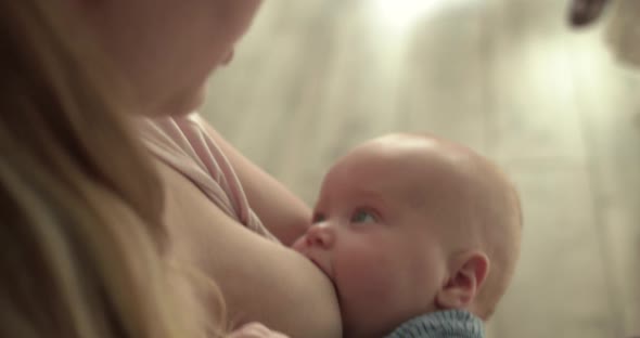 Portrait of Cute Baby Sucking Mom's Breasts and Looking at Camera alt