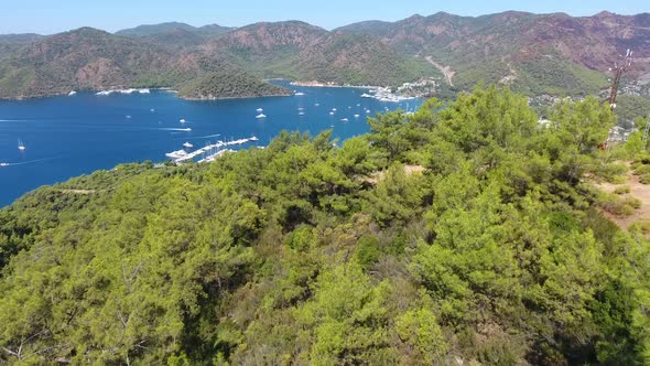 Small City Houses, Beautiful Marina and Touristic Boats in a Cove Surrounded by Forest by Sea alt